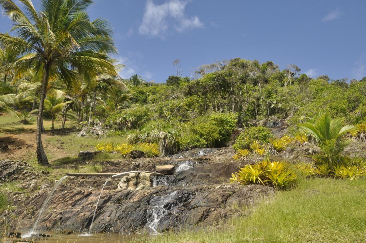 Recanto Dos Dendes Chales Serra Grande  Bagian luar foto